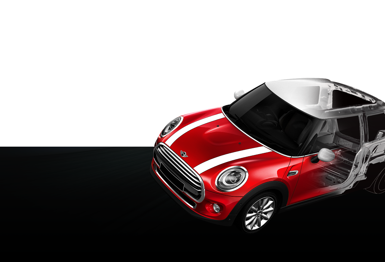 Şasiu MINI rigid